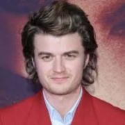 Joe Keery as Steve Harrington